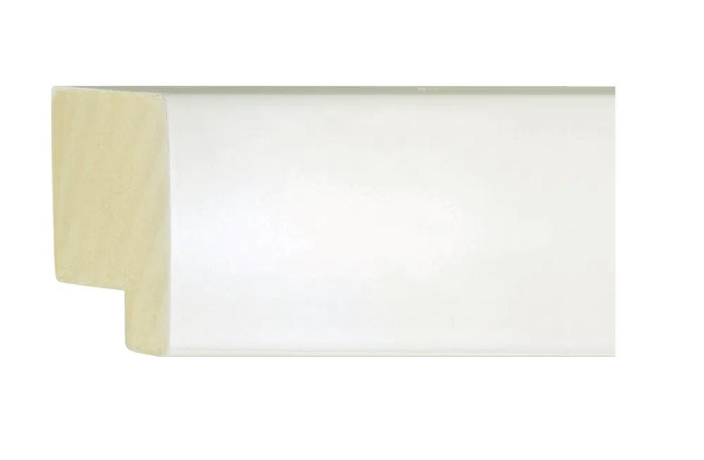 Gallery Matte White Picture Frame, Free Shipping. Thick Acrylic Plexiglass, Backing, and hanging hardware Included-Custom Sizes Option