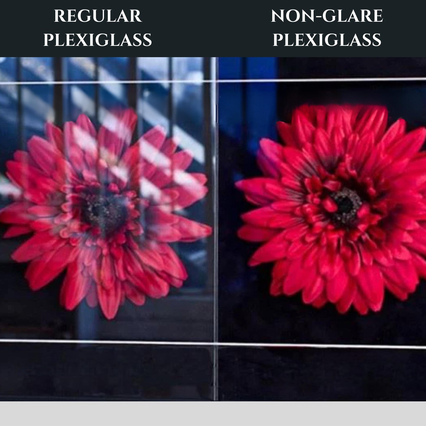 Non Glare Acrylic Plexiglass Made to Measure Custom Cut to Size- Gallery Grade 1/8" inch thick. Available up to 36x48". Fast Free Shipping.