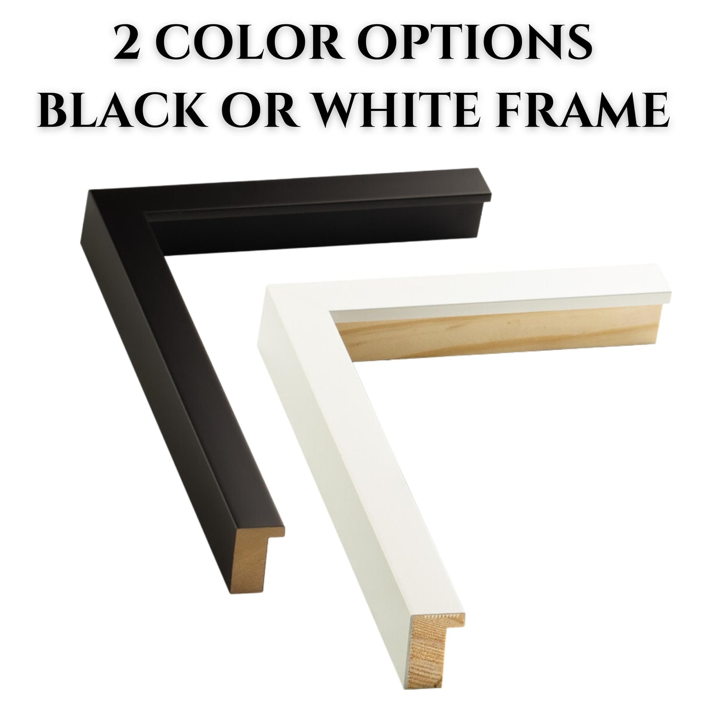 Shadow Box Picture Frame at Great Price-1" Deep. Art Gallery Quality. Custom Sizes-Oversize-Includes Acrylic, Walls, & Backing. Ships Free.